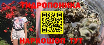 прущие грибы Белореченск