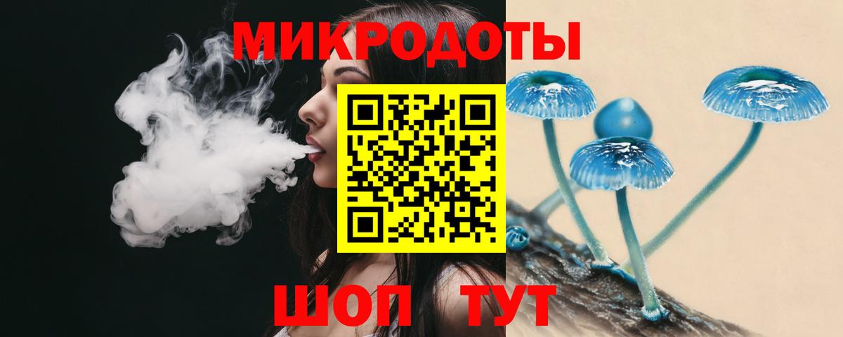 Псилоцибиновые грибы Cubensis Сатка